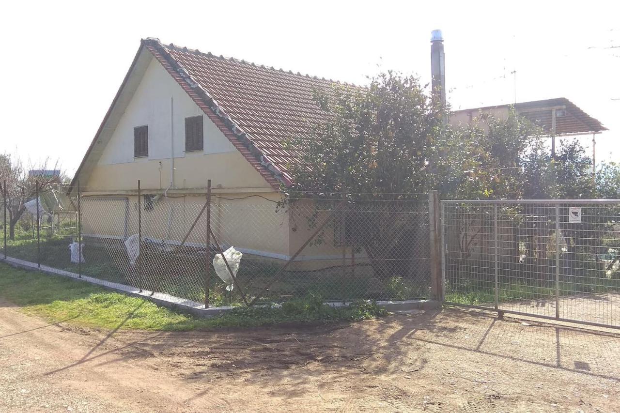Mallios Country House Near Ancient Olympia Zewnętrze zdjęcie