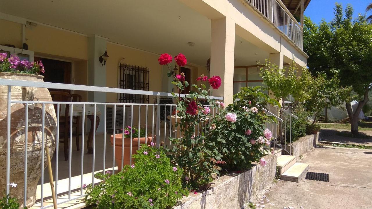Mallios Country House Near Ancient Olympia Zewnętrze zdjęcie